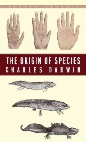 The origin species - -, mass